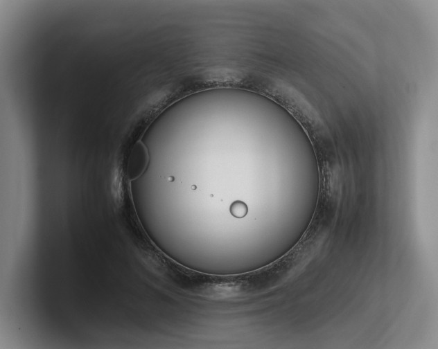 X0000102260692200807251330