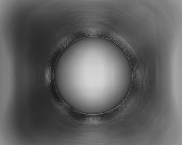 X0000102260694200807251330