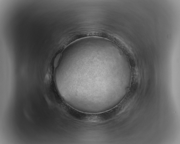 X0000102260695200807251330
