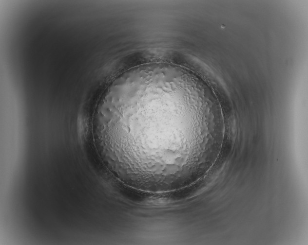 X0000102260699200807251329
