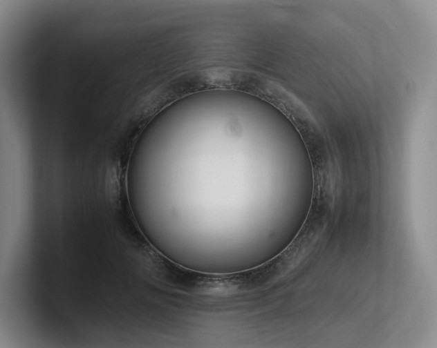 X0000102260702200807251329