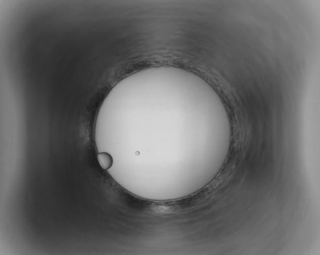 X0000102260706200807251329