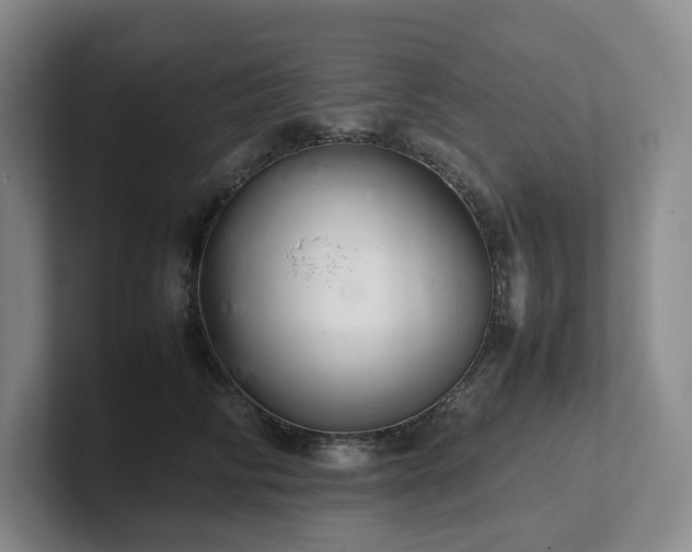 X0000102260710200807251329