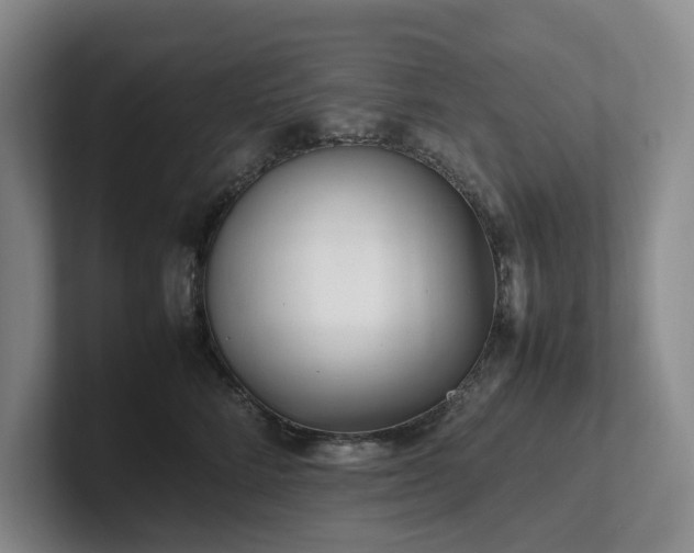 X0000102260712200807251329