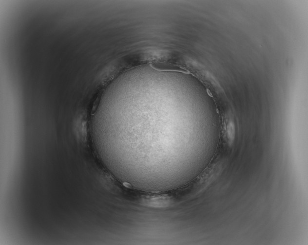 X0000102260716200807251329