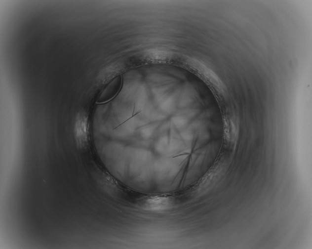 X0000102260718200807251329