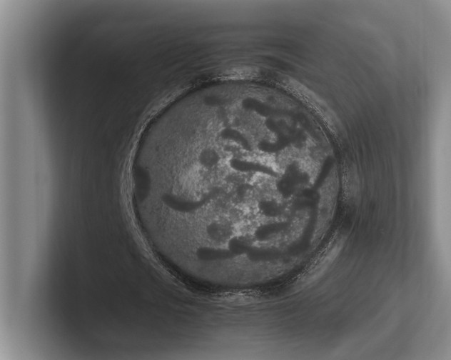 X0000102260721200807251329