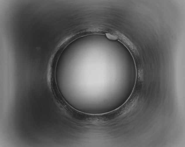 X0000102260724200807251329