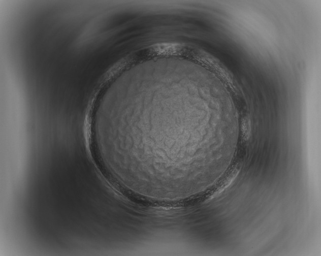 X0000102260725200807251329