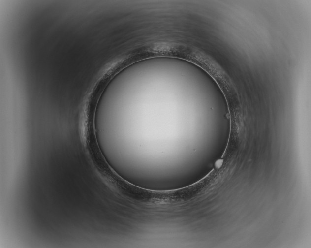 X0000102260728200807251329