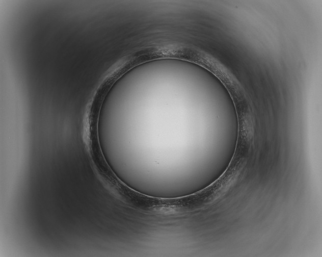 X0000102260730200807251329