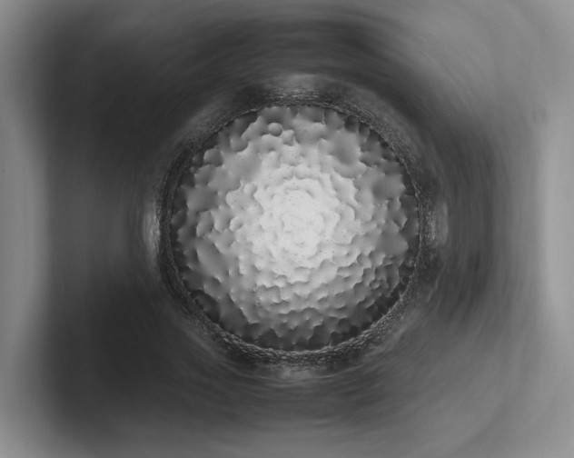 X0000102260733200807251329