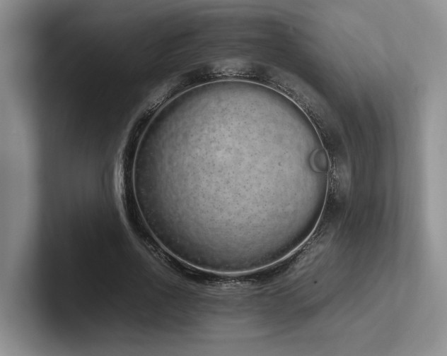 X0000102260734200807251329