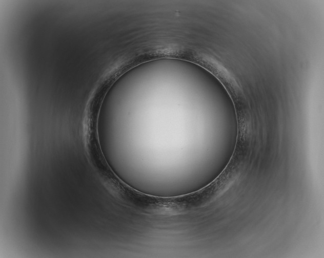X0000102260736200807251329