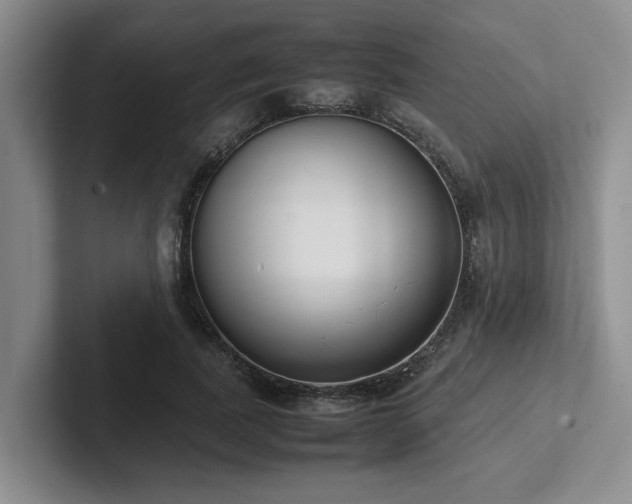 X0000102260739200807251329
