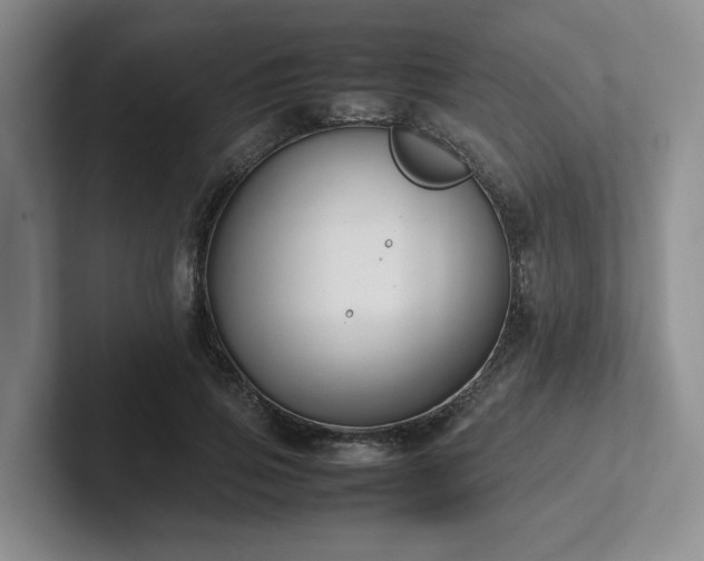 X0000102260741200807251329