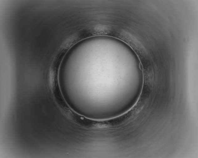 X0000102260742200807251329
