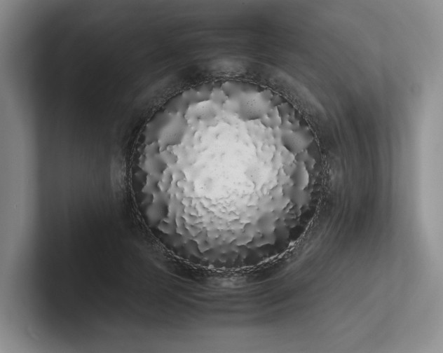 X0000102260745200807251329