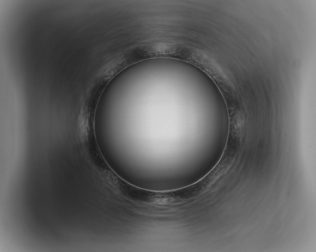 X0000102260746200807251329