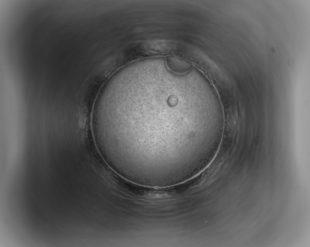 X0000102260749200807251329