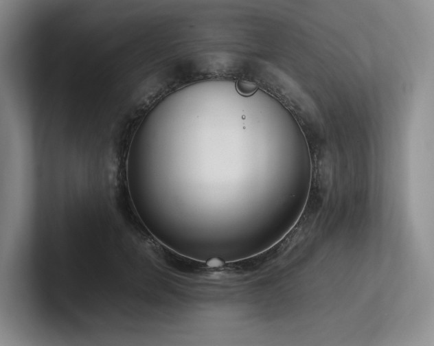 X0000102260750200807251329