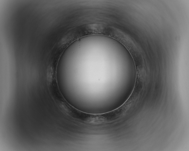 X0000102260752200807251329