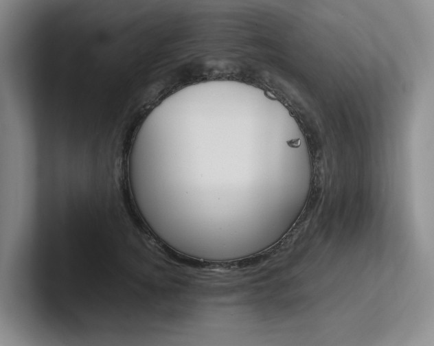 X0000102260756200807251329