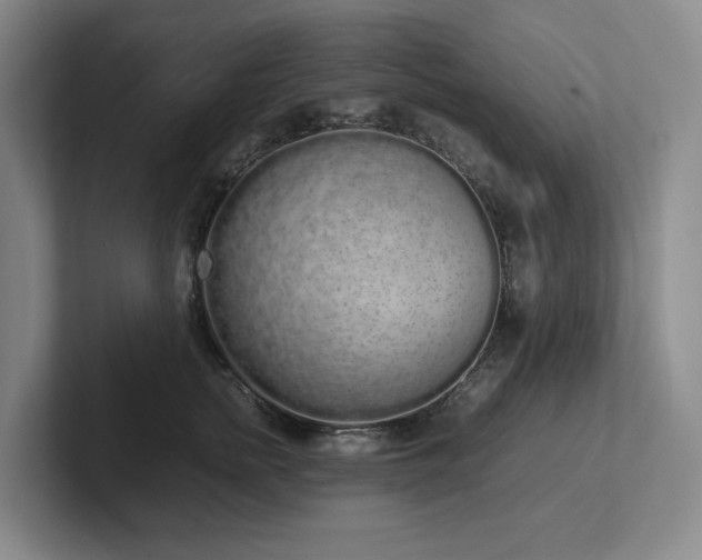 X0000102260758200807251329