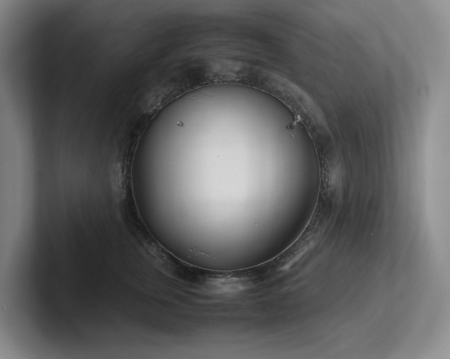 X0000102260759200807251329