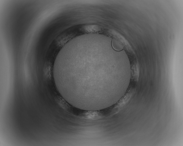 X0000102260762200807251329
