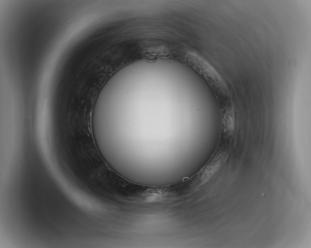 X0000102260764200807251329