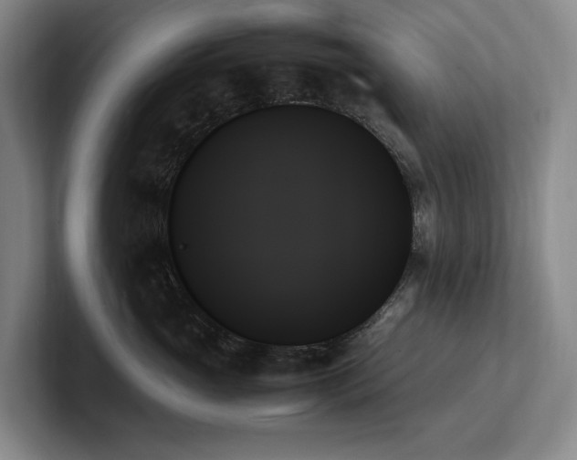 X0000102260765200807251329