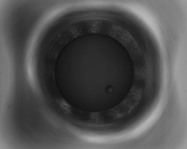 X0000102260766200807251329