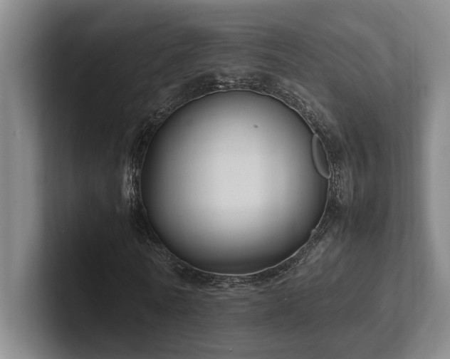 X0000102260770200807251329