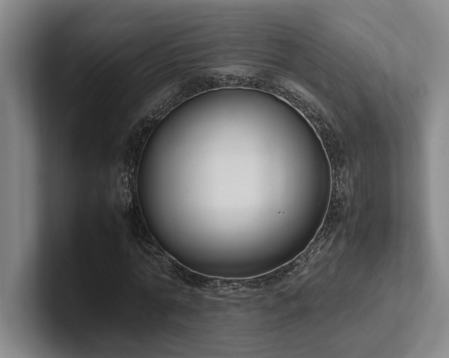X0000102260774200807251328