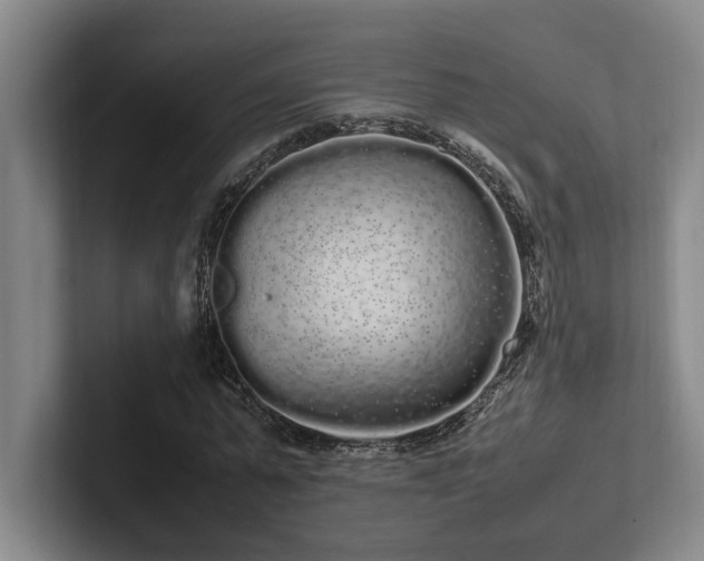 X0000102260775200807251328