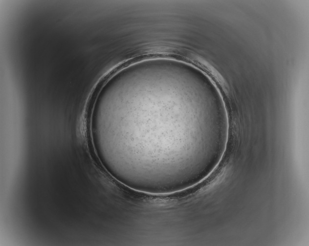 X0000102260779200807251328