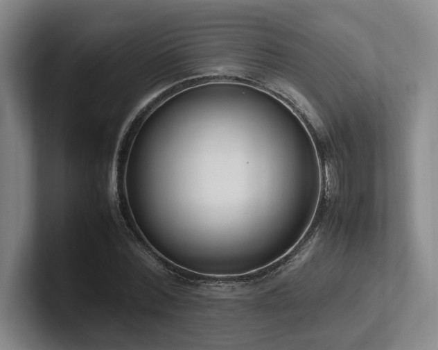 X0000102260780200807251328