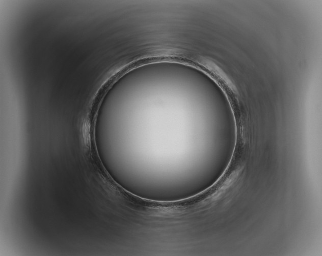 X0000102260781200807251328