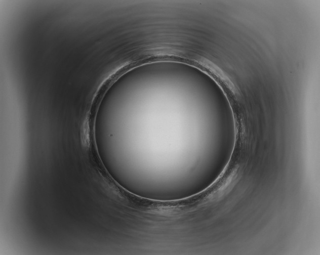 X0000102260782200807251328