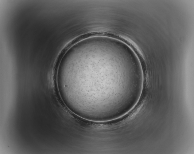 X0000102260783200807251328