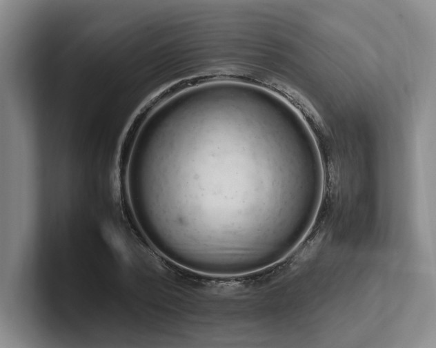 X0000102260784200807251328