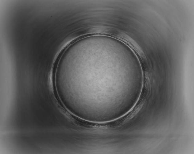 X0000102260788200807251328