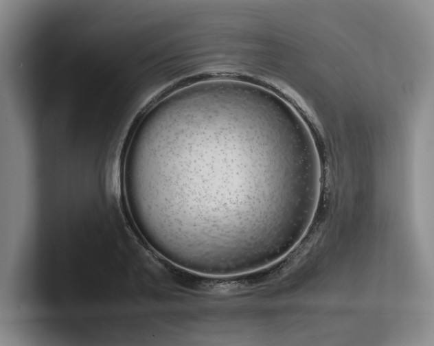 X0000102260791200807251328