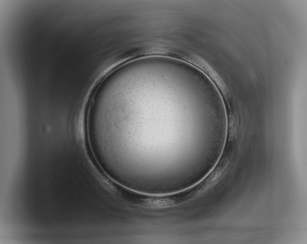 X0000102260795200807251328