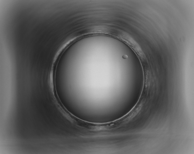 X0000102260796200807251328