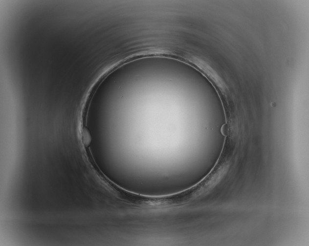 X0000102260797200807251328
