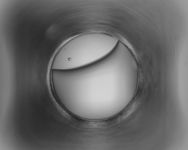 X0000102260803200807251328