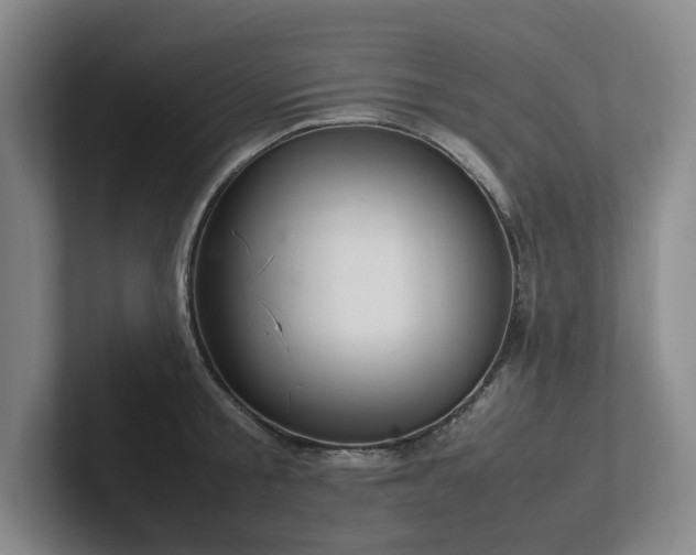 X0000102260805200807251328