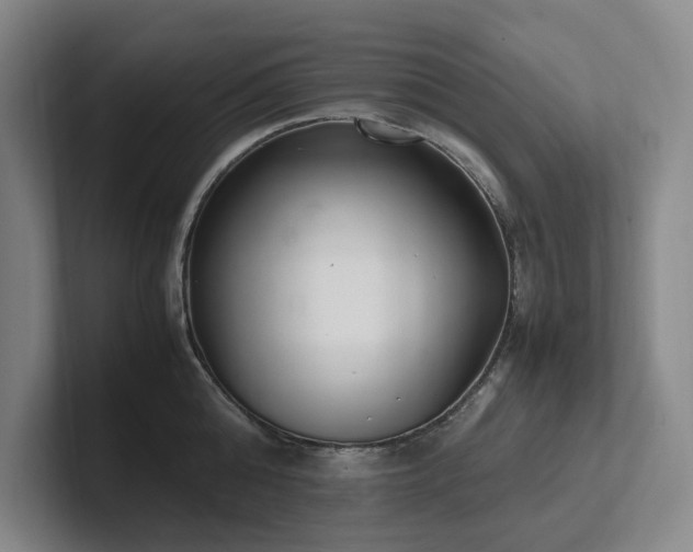 X0000102260808200807251328